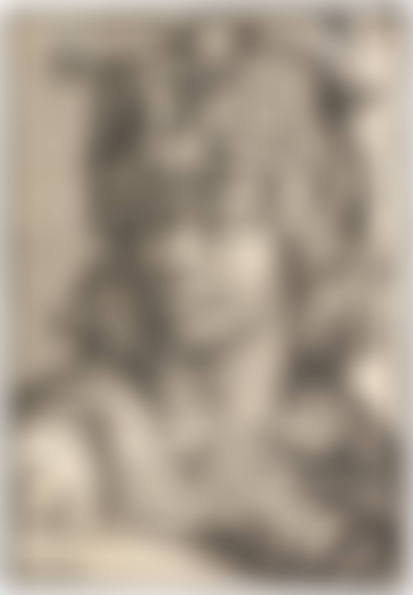 A COLLECTION OF PORTRAITS (preview)