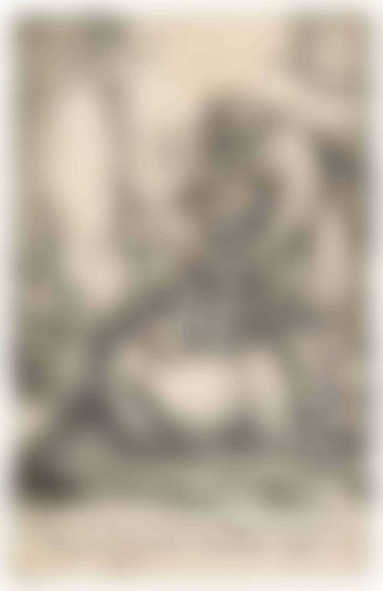 A COLLECTION OF PRINTS (preview)