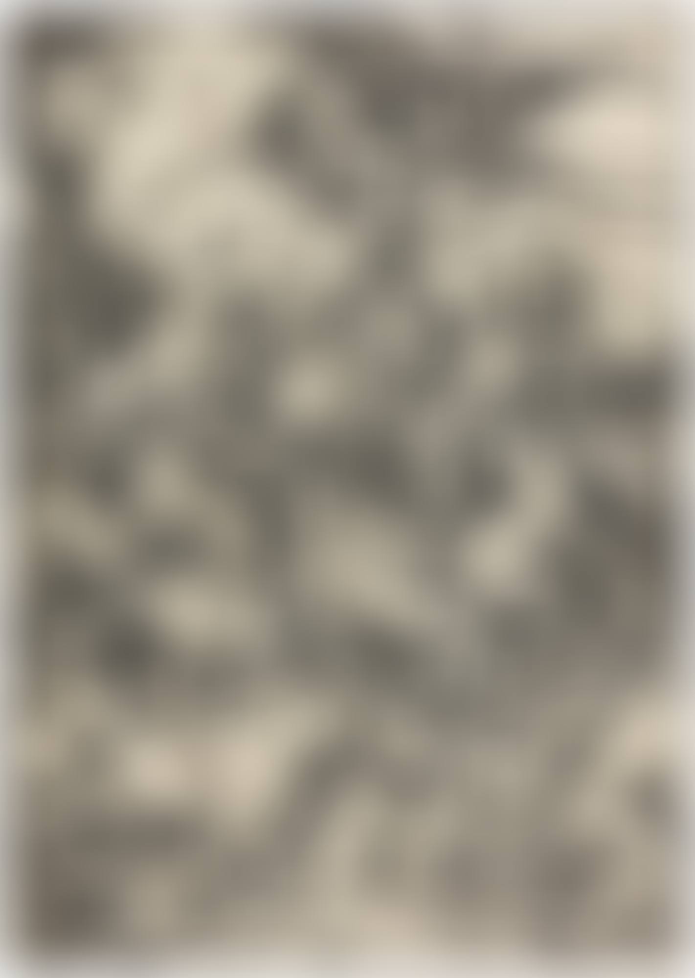 THE FOUR HORSEMEN OF THE APOCALYPSE (B. 64; M., HOLL. 167) (preview)
