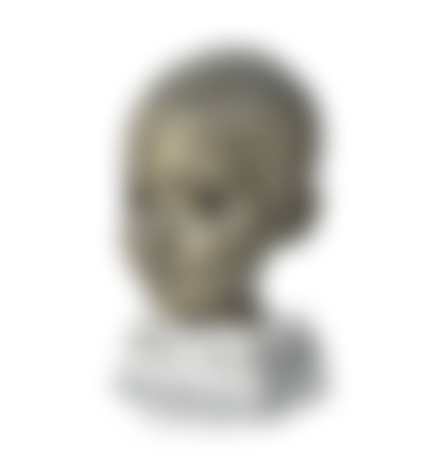 Bust of Enver (preview)