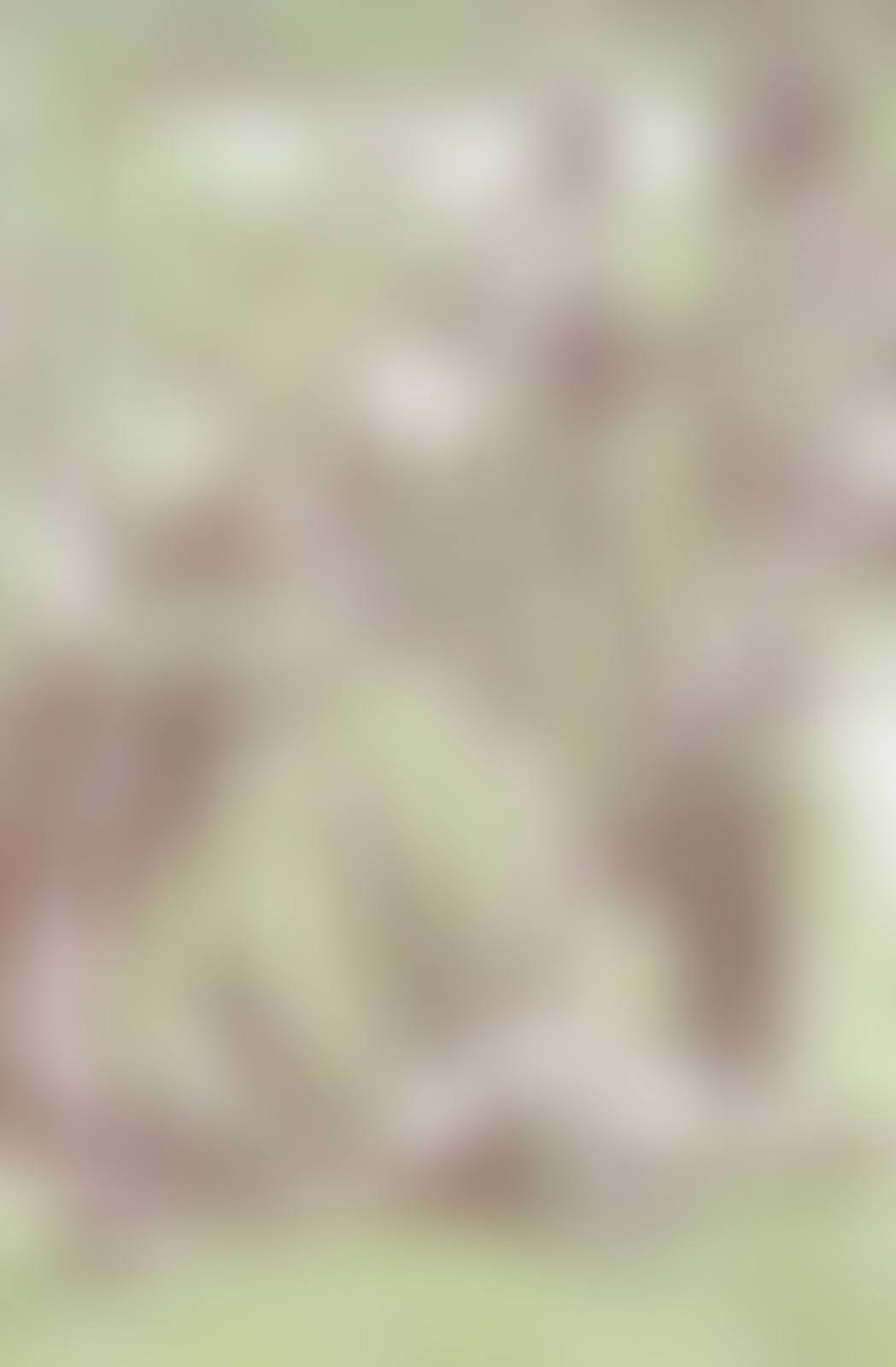 An Echo (preview)