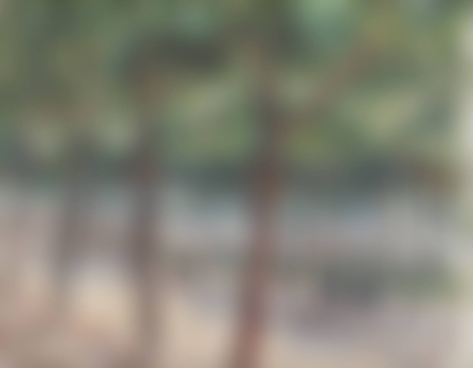 St Cloud (preview)