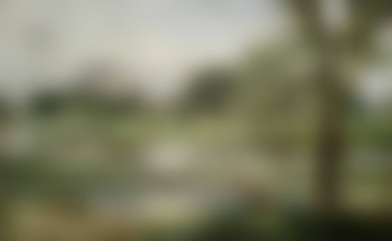 'Near Itchen Stoke' (preview)