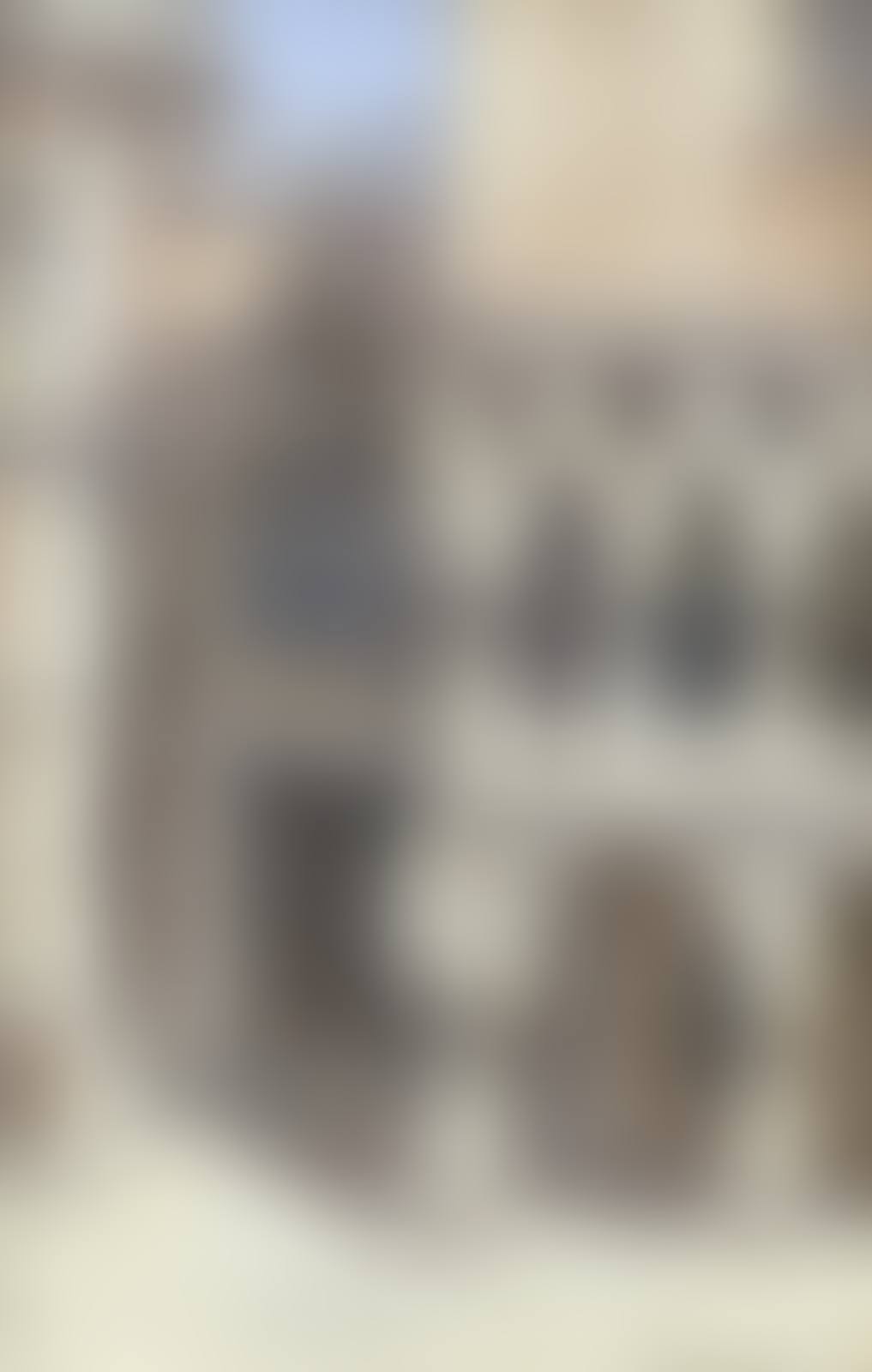 Porta Villa Carta, Venezia (preview)