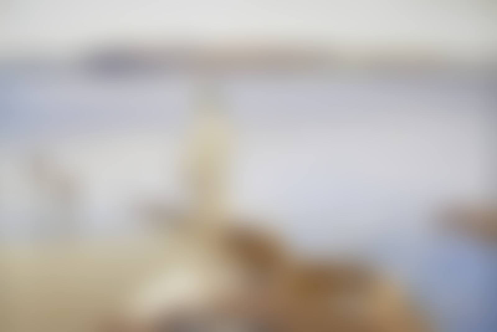 Morning (preview)