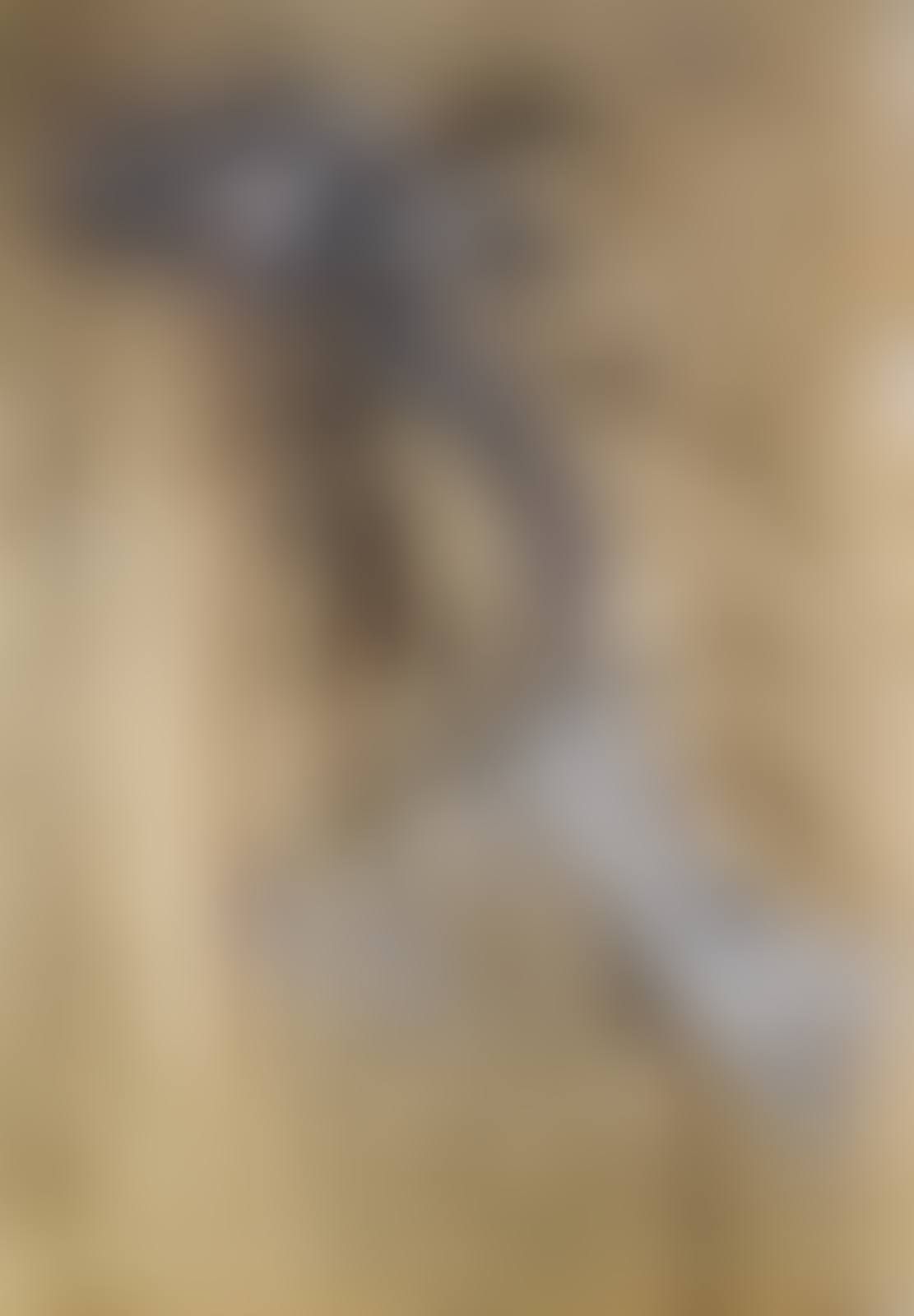 Untitled (Shaman Series) (preview)