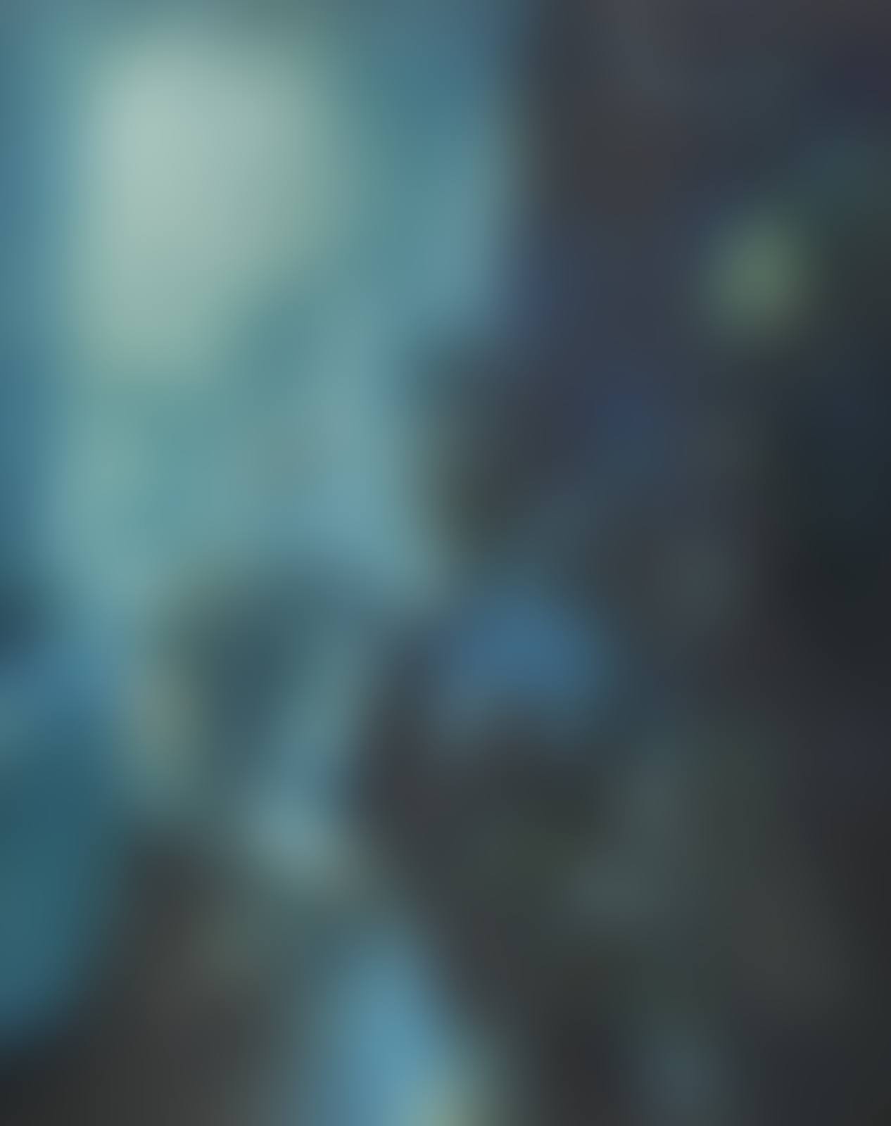 Presence Inconnue (preview)