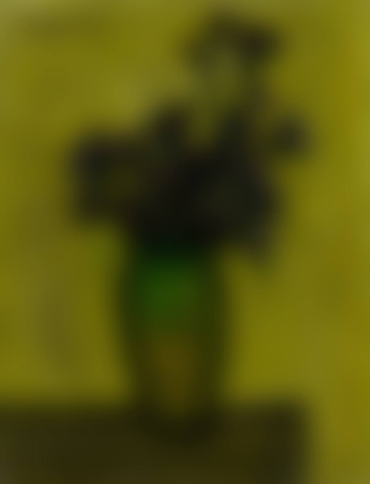 Bouquet (preview)
