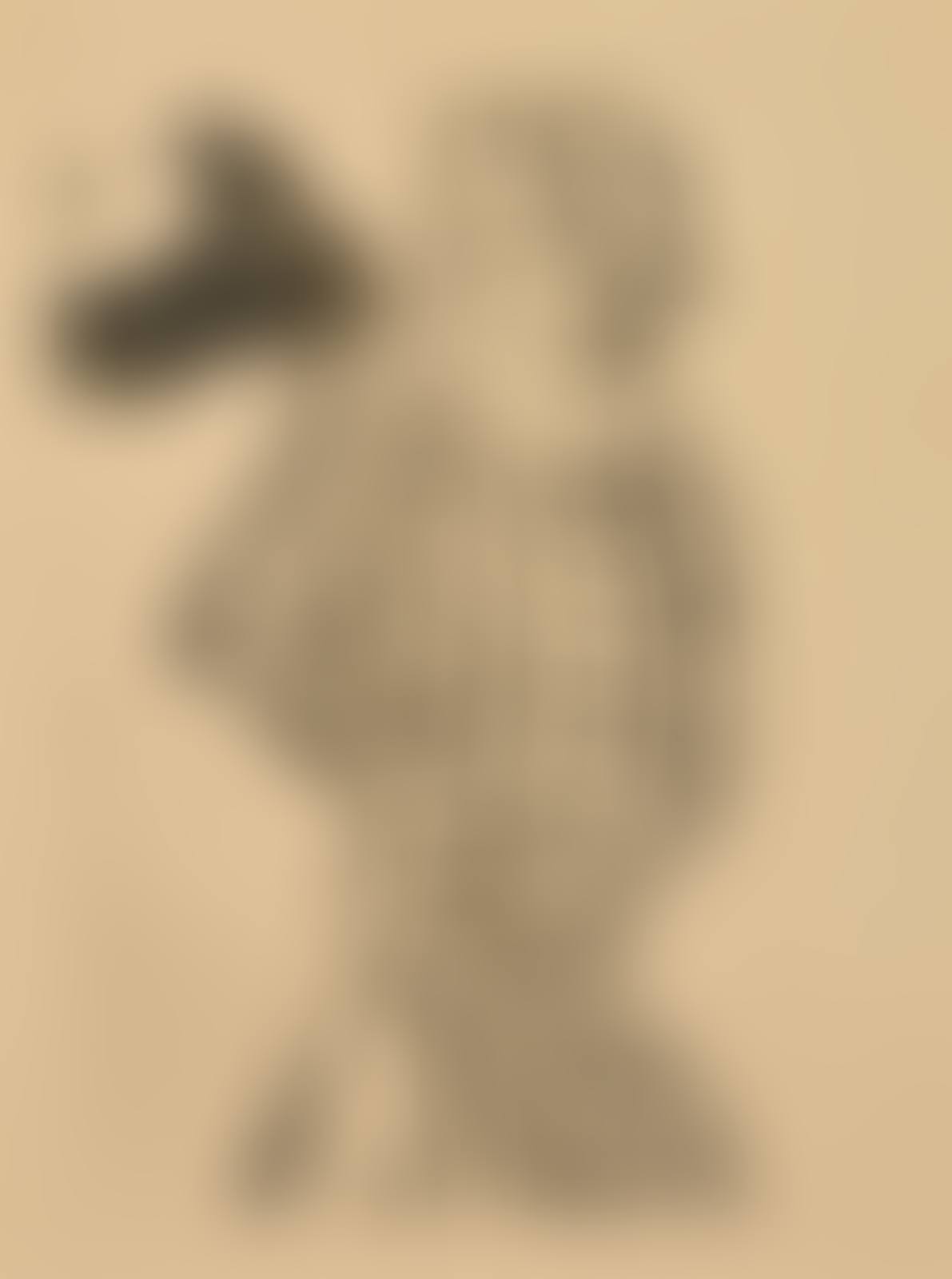 Comique Excentrique Anglais (Eccentric English Comedian), Plate 11 of the Le Café Concert series (preview)