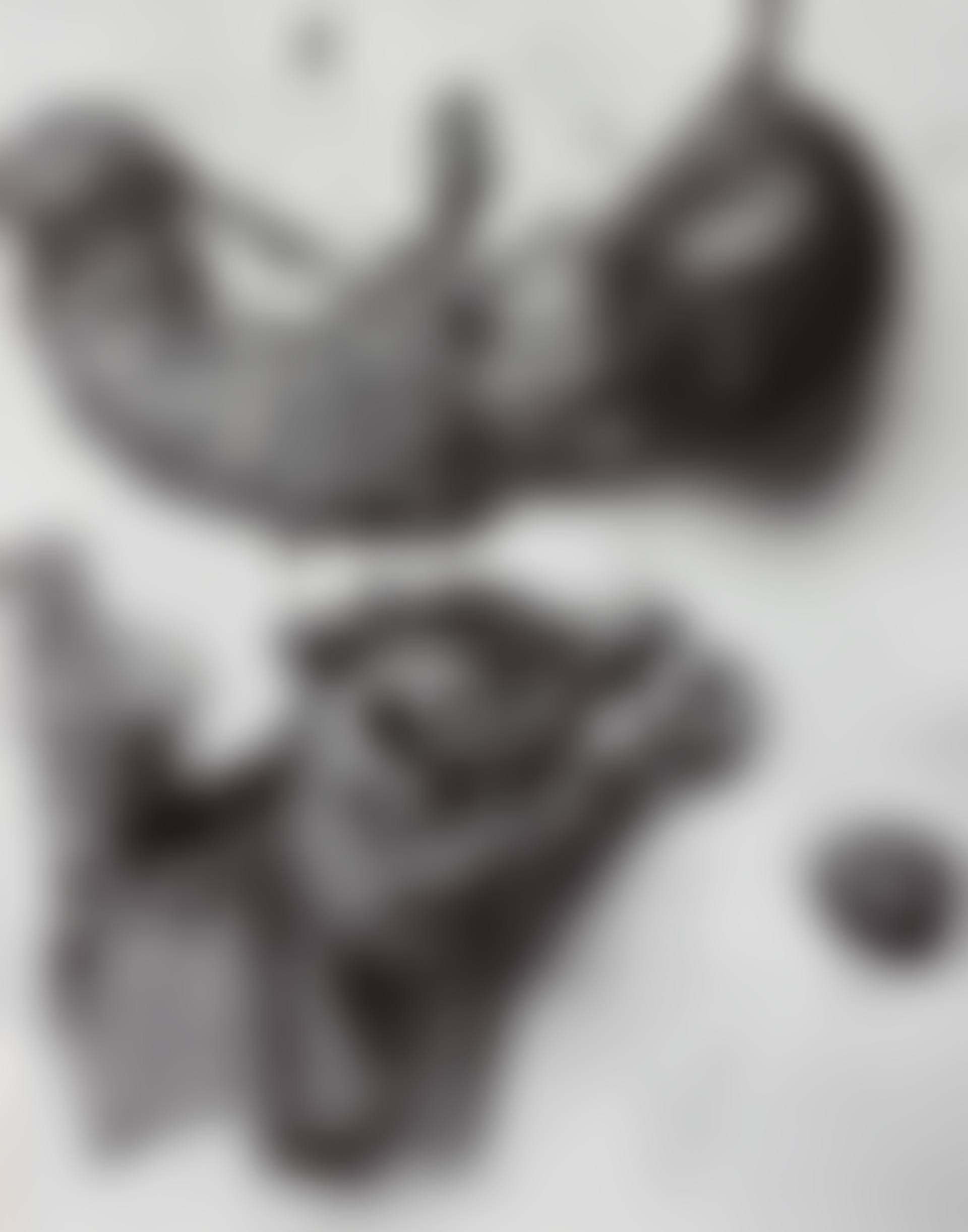 The Anatomy of a Chicken, 1939 (preview)