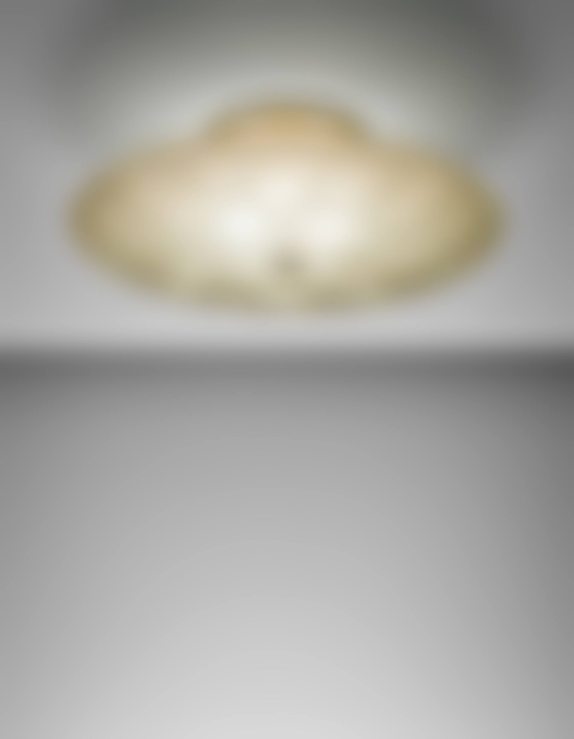 Large ceiling light (preview)