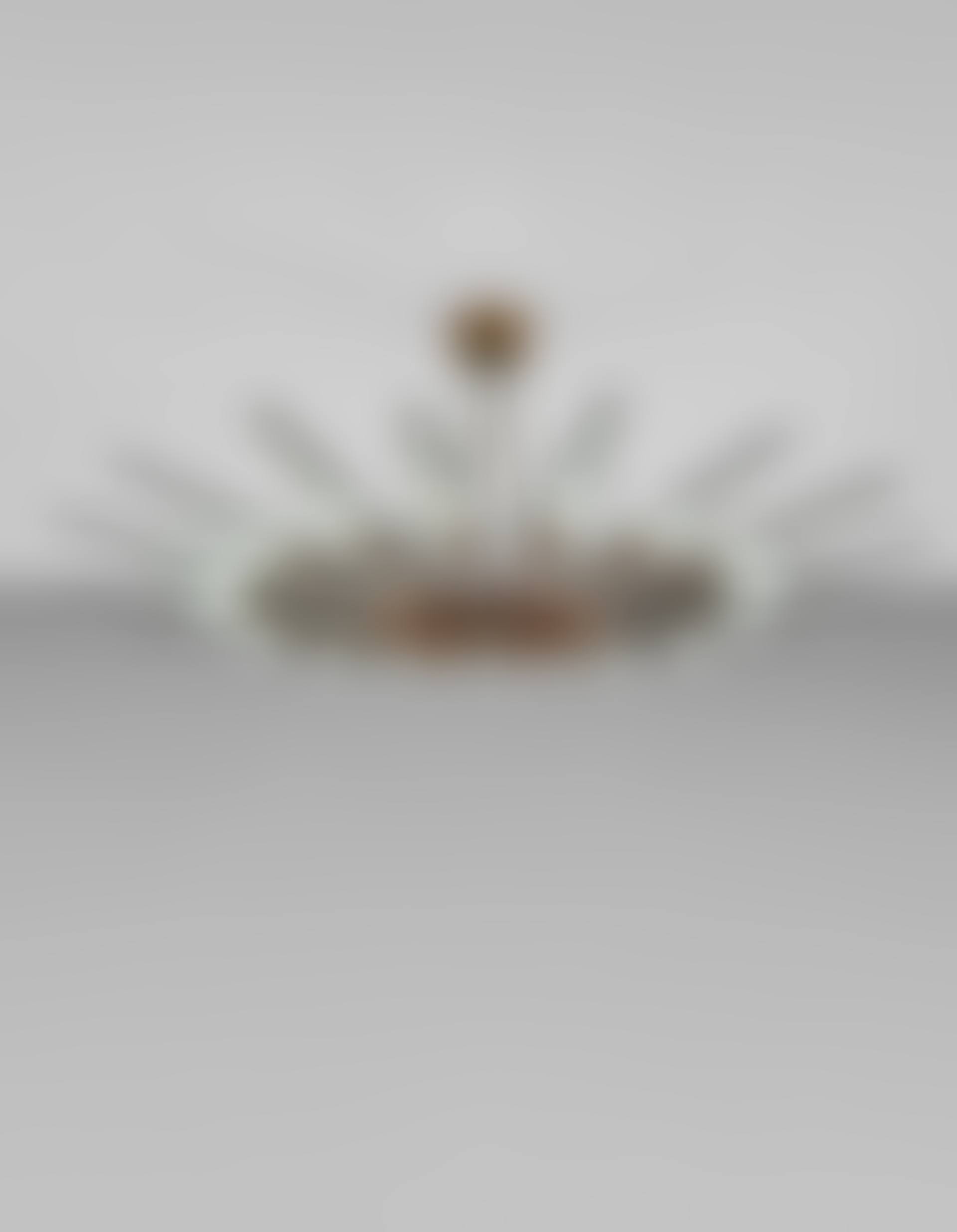 'Dahlia' sixteen-armed chandelier, model no. 1563 (preview)