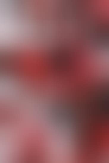 "Tapisserie Rouge" (preview)