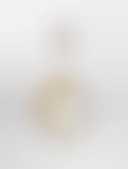 Ceiling light (preview)
