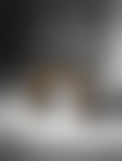 Low table (preview)