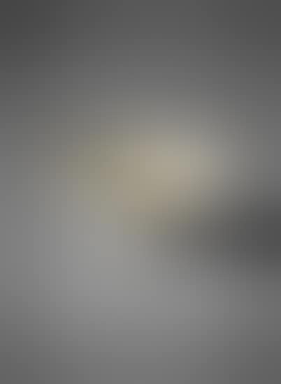 Conical bowl (preview)