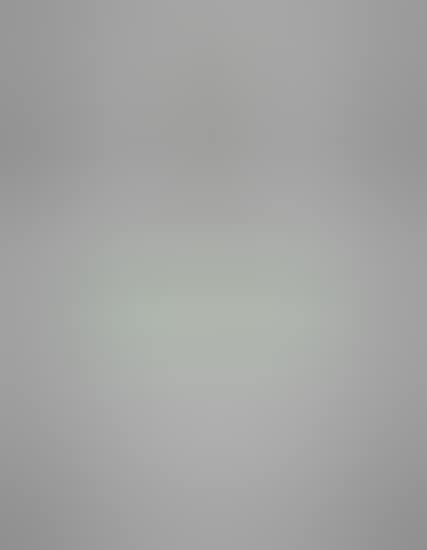 Ceiling light, model no. 2088 (preview)