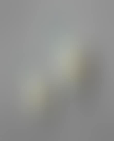 Pair of wall lights, model no. 1552 (preview)