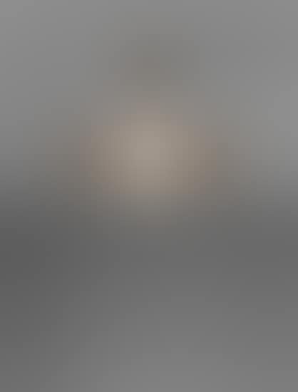 Ceiling light (preview)