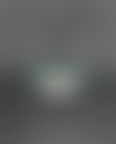 Ceiling light, model no. 2096 (preview)