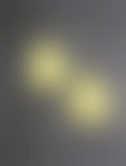 Pair of rare wall lights (preview)