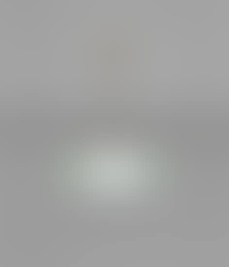 Ceiling light (preview)