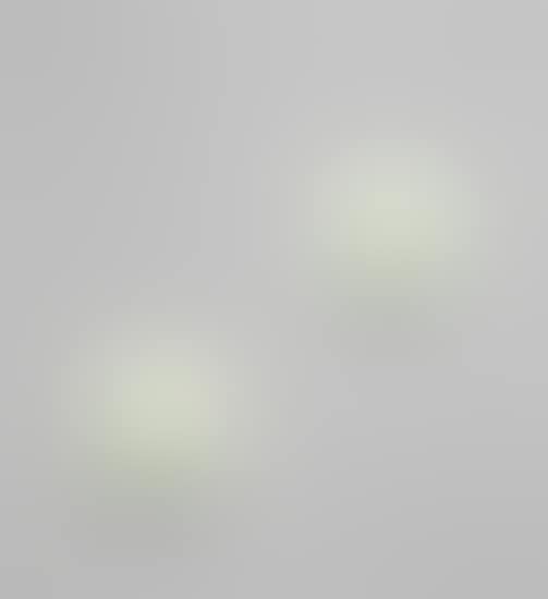 Pair of wall lights, model no. 1944 (preview)