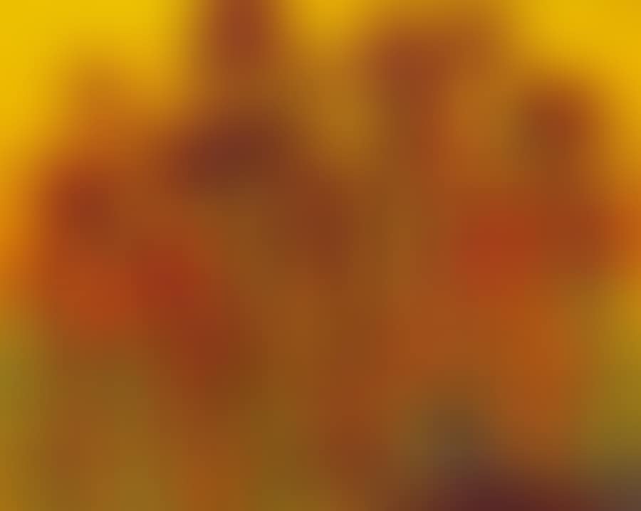 Landscape (preview)