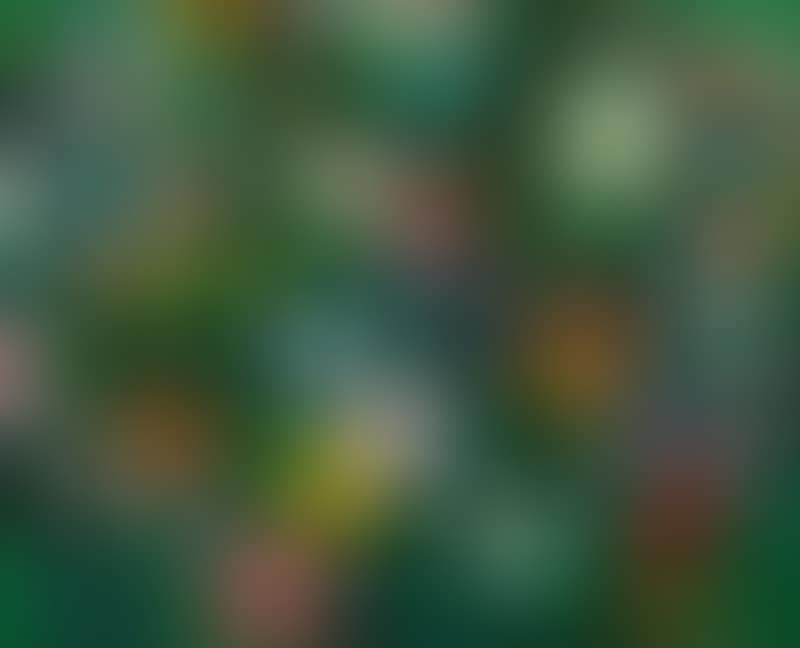 Landscape (preview)