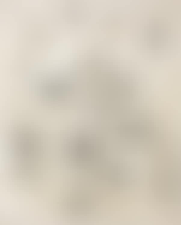 With Winds (preview)