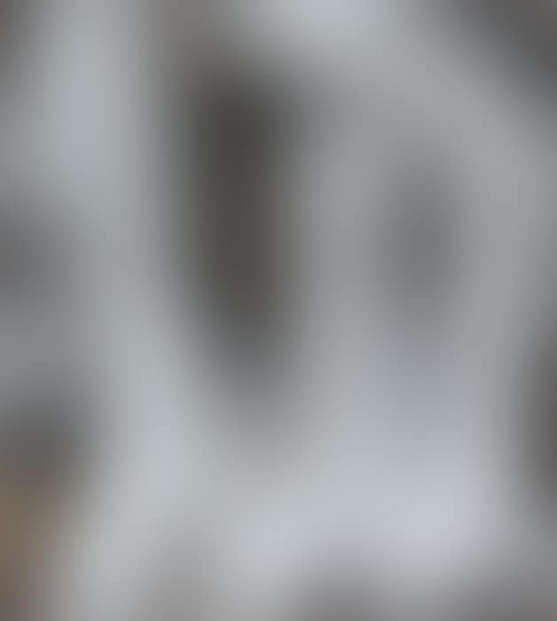 Silvery Light (preview)