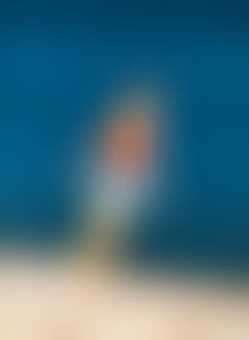 Walking on the Beach (preview)