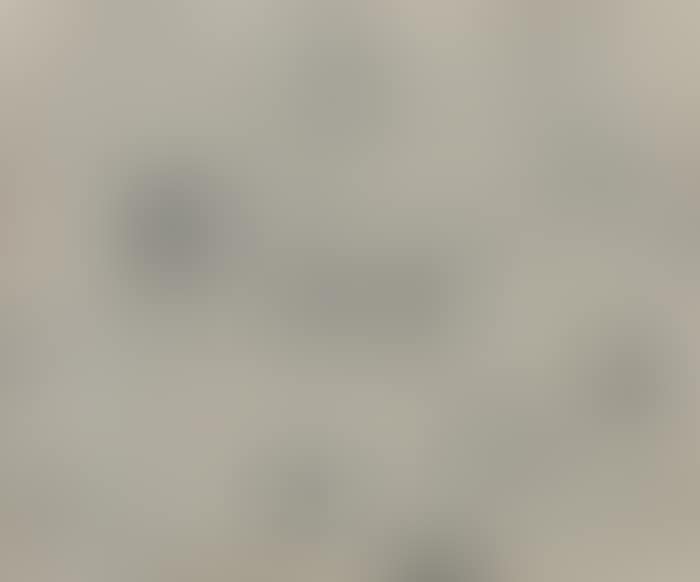With Winds (preview)
