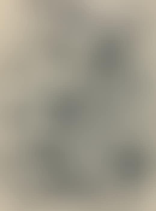 With Winds (preview)