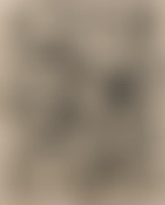 From Winds (preview)