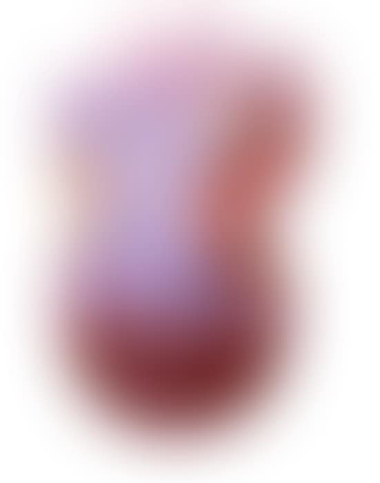 Cow (Lilac) (preview)