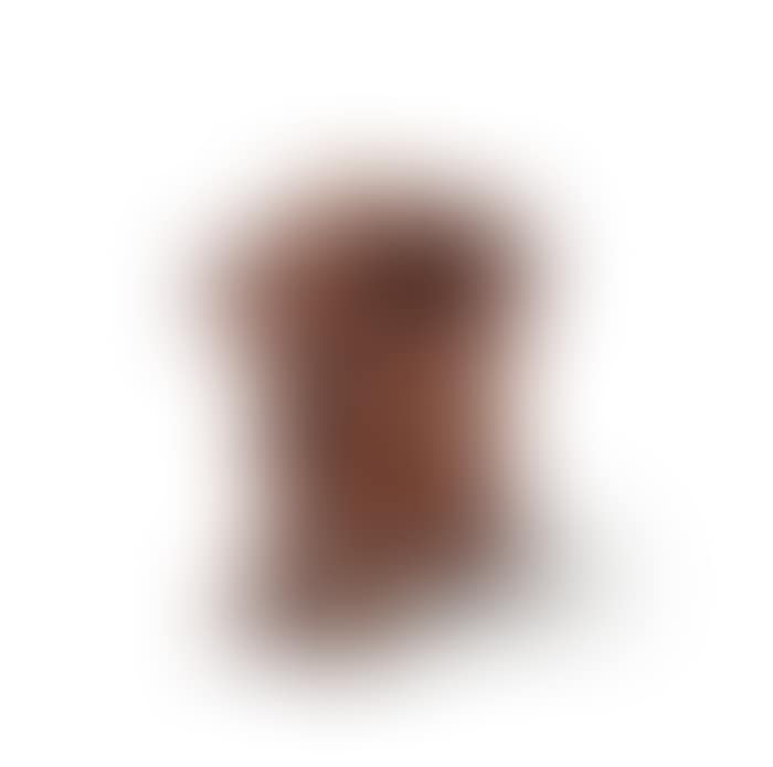 Meme (preview)