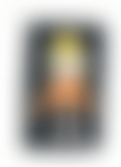 Girl in Orange Dress (preview)