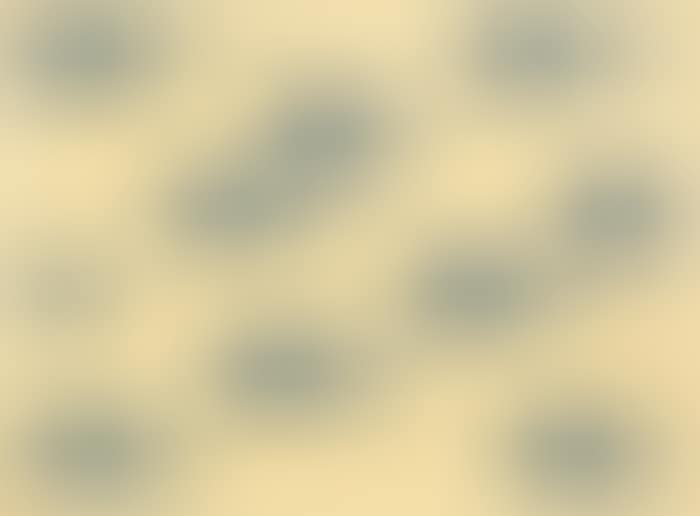 From Point (preview)