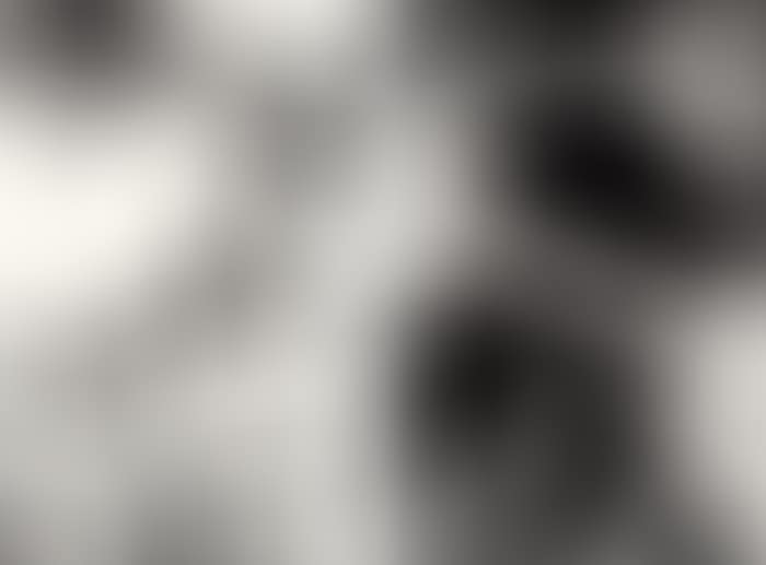 Man's Best Friend (2 works) (preview)