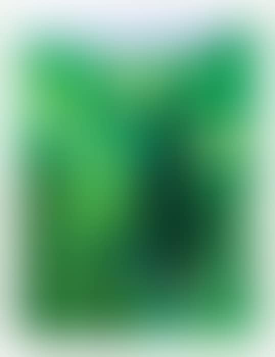 Untitled No.21 from “The Yosemite Suite” (preview)