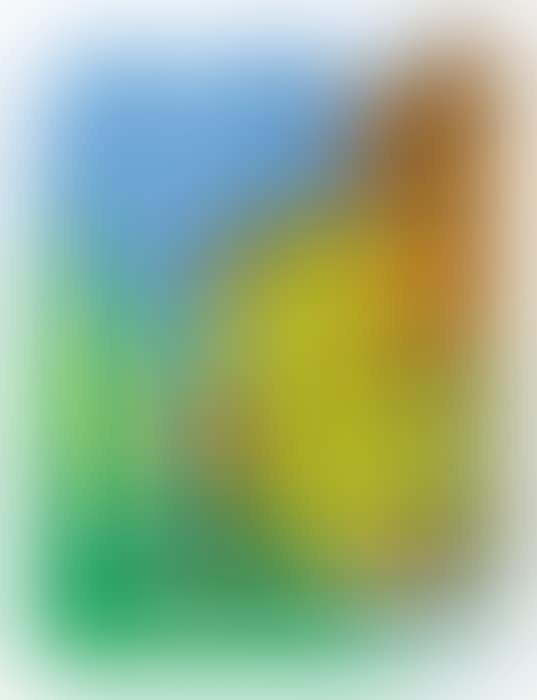Untitled No.1 from “The Yosemite Suite” (preview)
