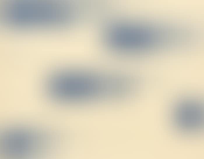 From Point (preview)