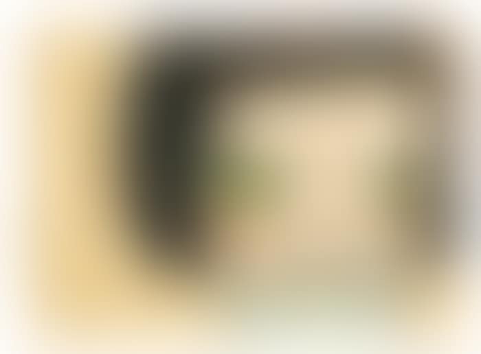 Untitled (preview)