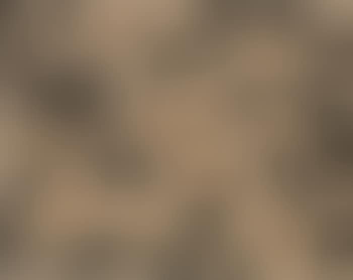 Recurrence (preview)