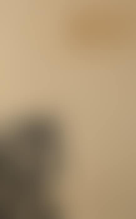Recurrence (preview)