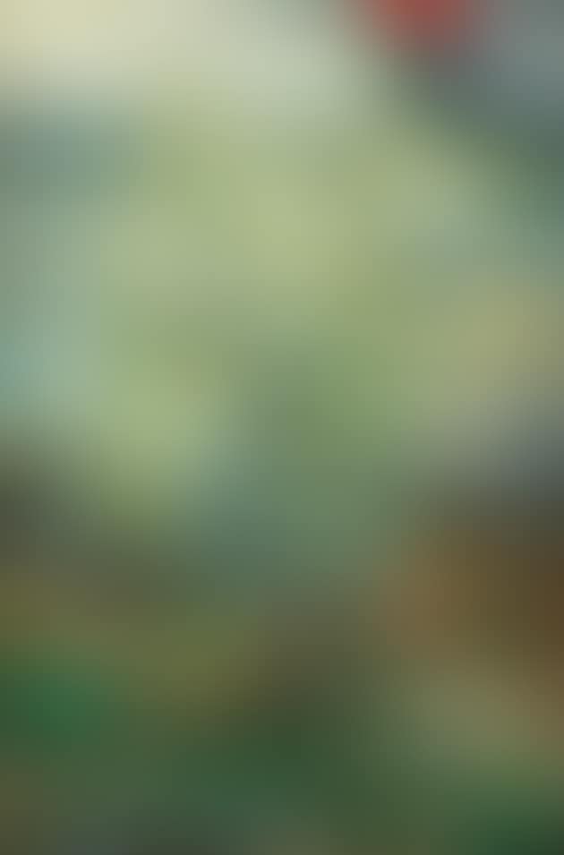 Tree (preview)