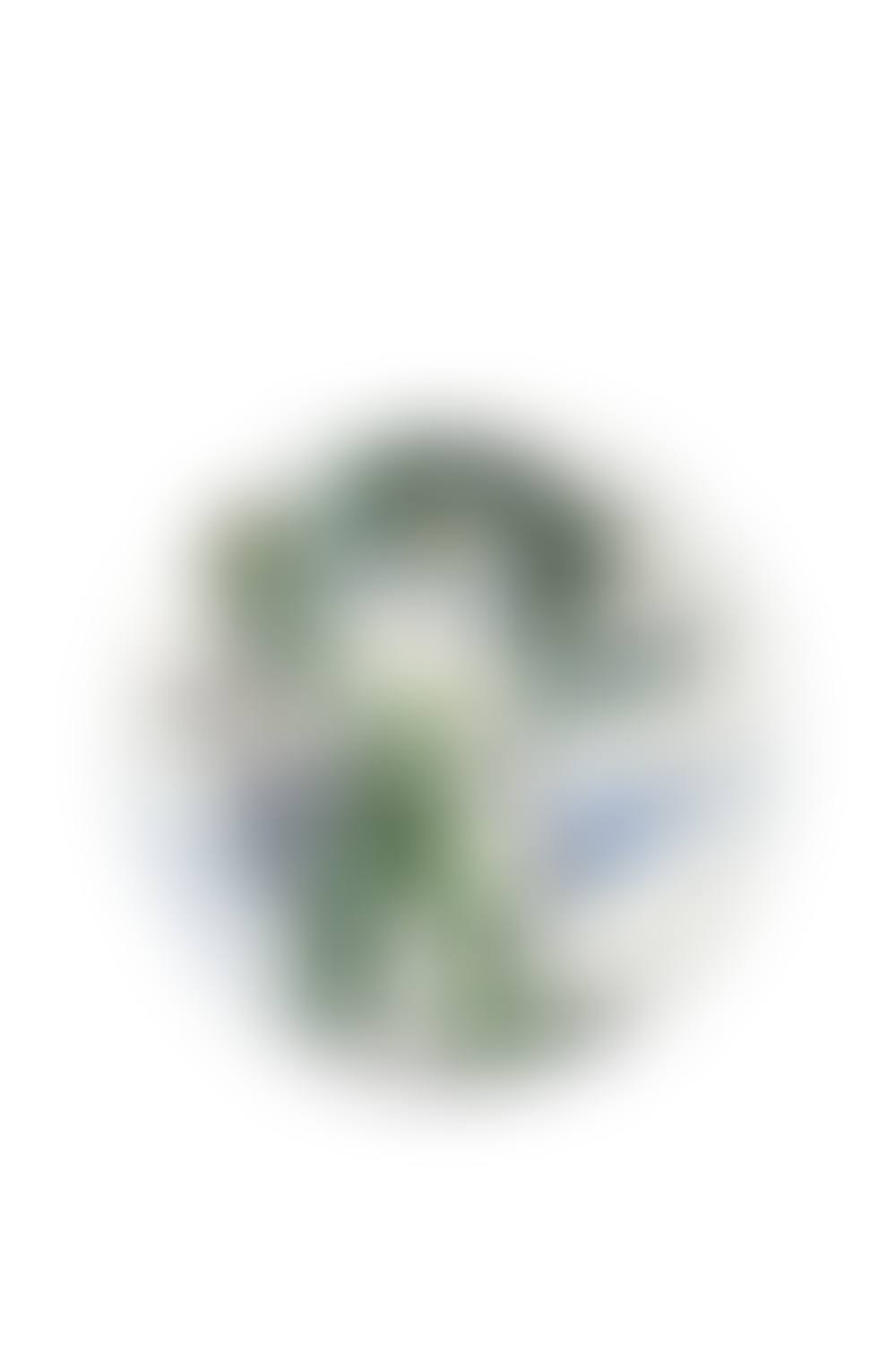 Dishevelled Woman (preview)