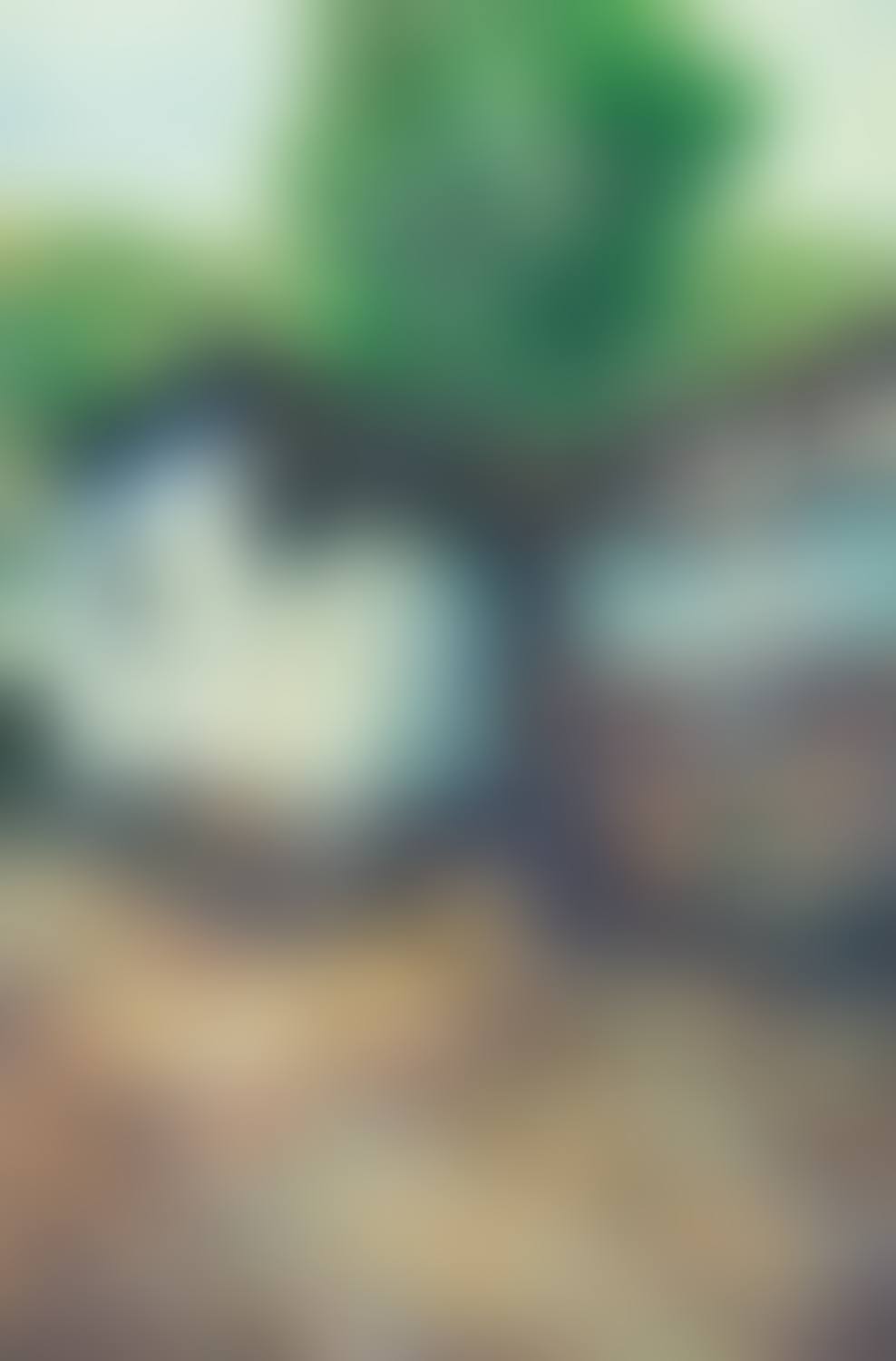 Spring II (preview)