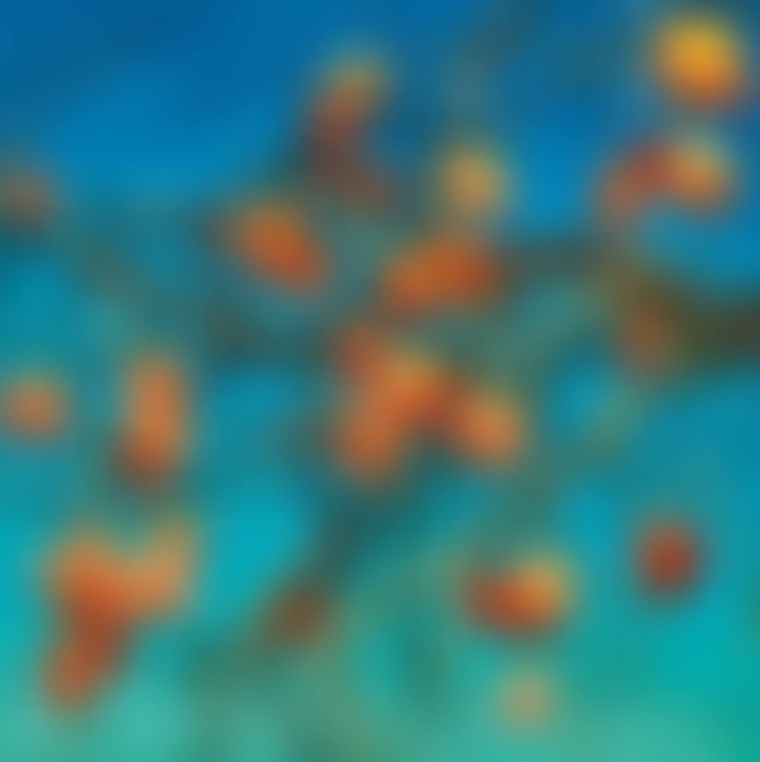 Persimmons (preview)